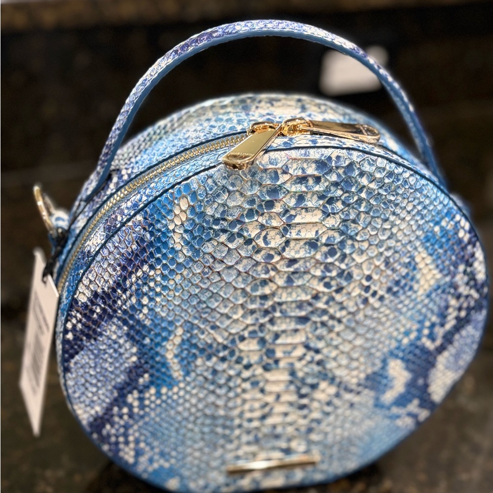 Brahmin Lane Handbag